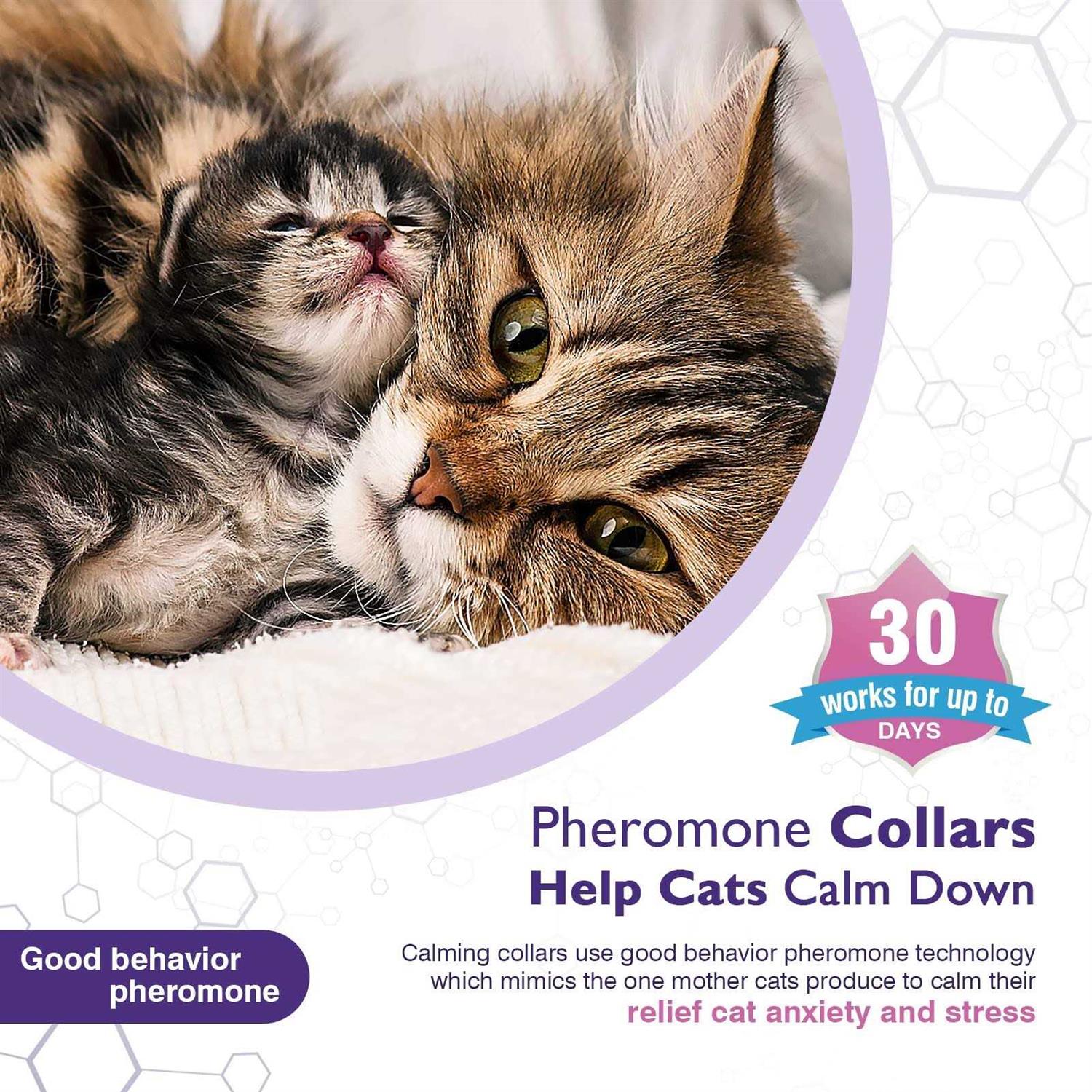 Alternative view of Tcllka 3 Pack Calming Collar Efficient Relieve Reduce Anxiety Stress Pheromones Calm Relaxing Comfortable Breakaway