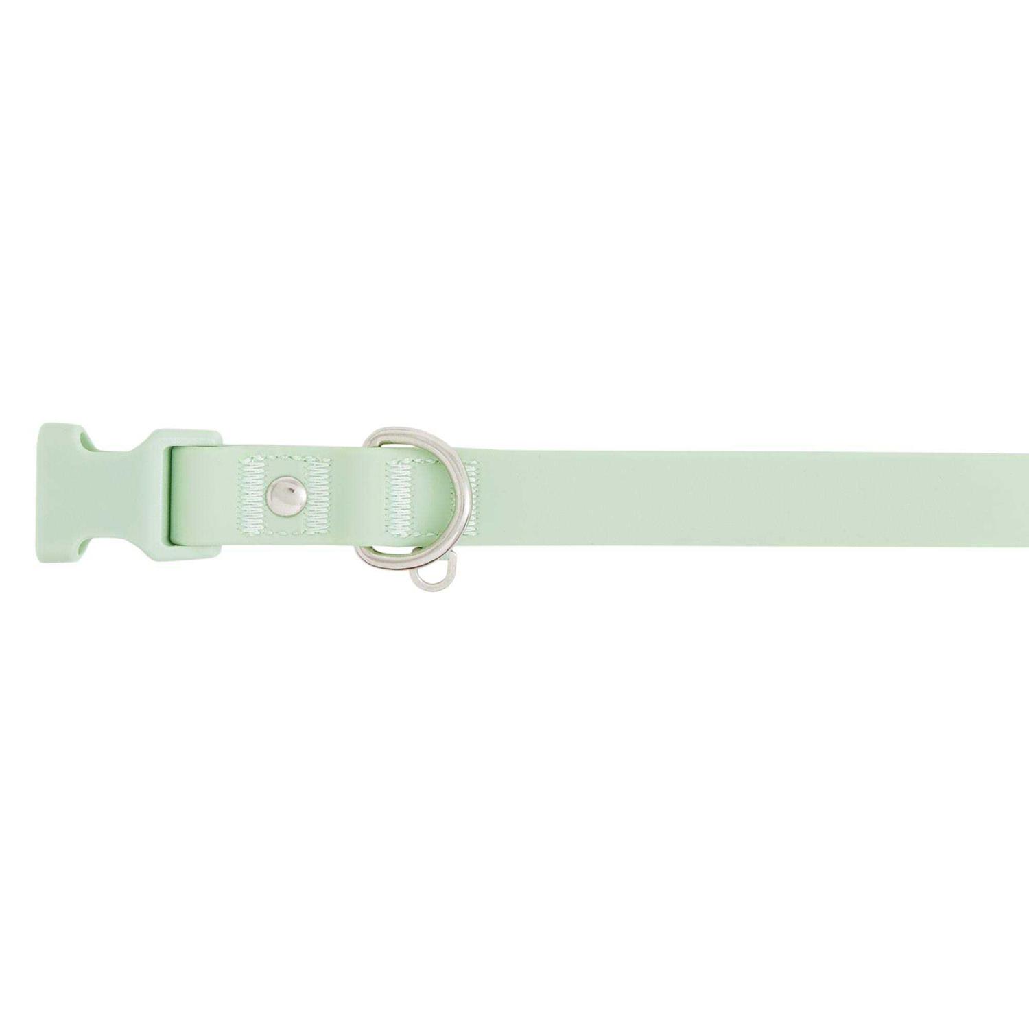 Top Paw Core Fashion Dog Collar