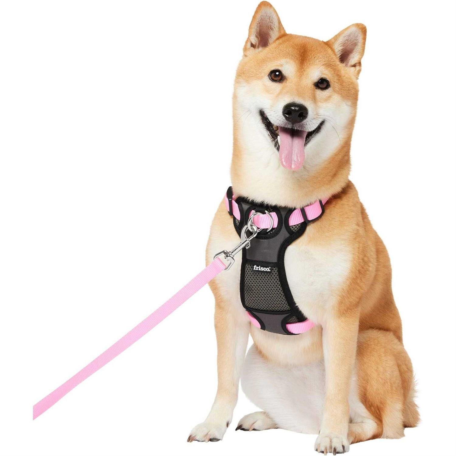 Frisco Padded Nylon No Pull Dog Harness