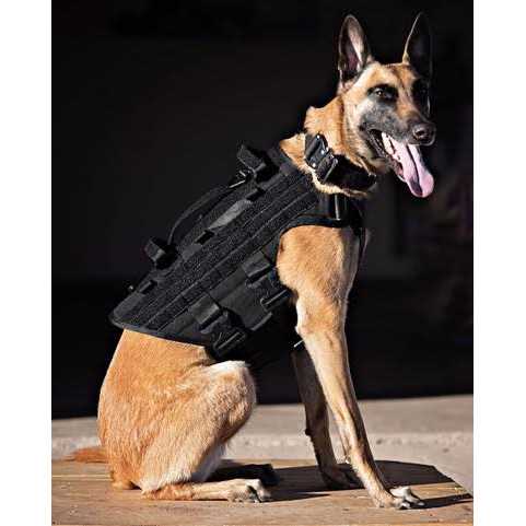 Icon Harness