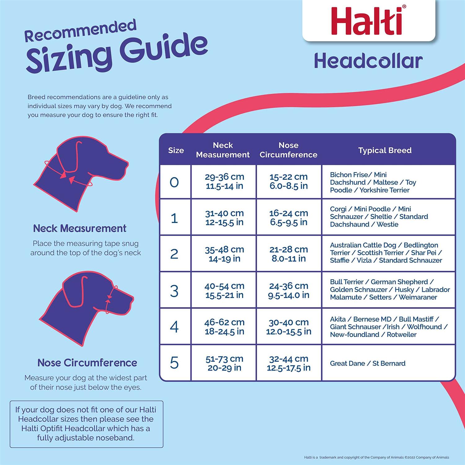 Alternative view of Halti Dog Headcollar