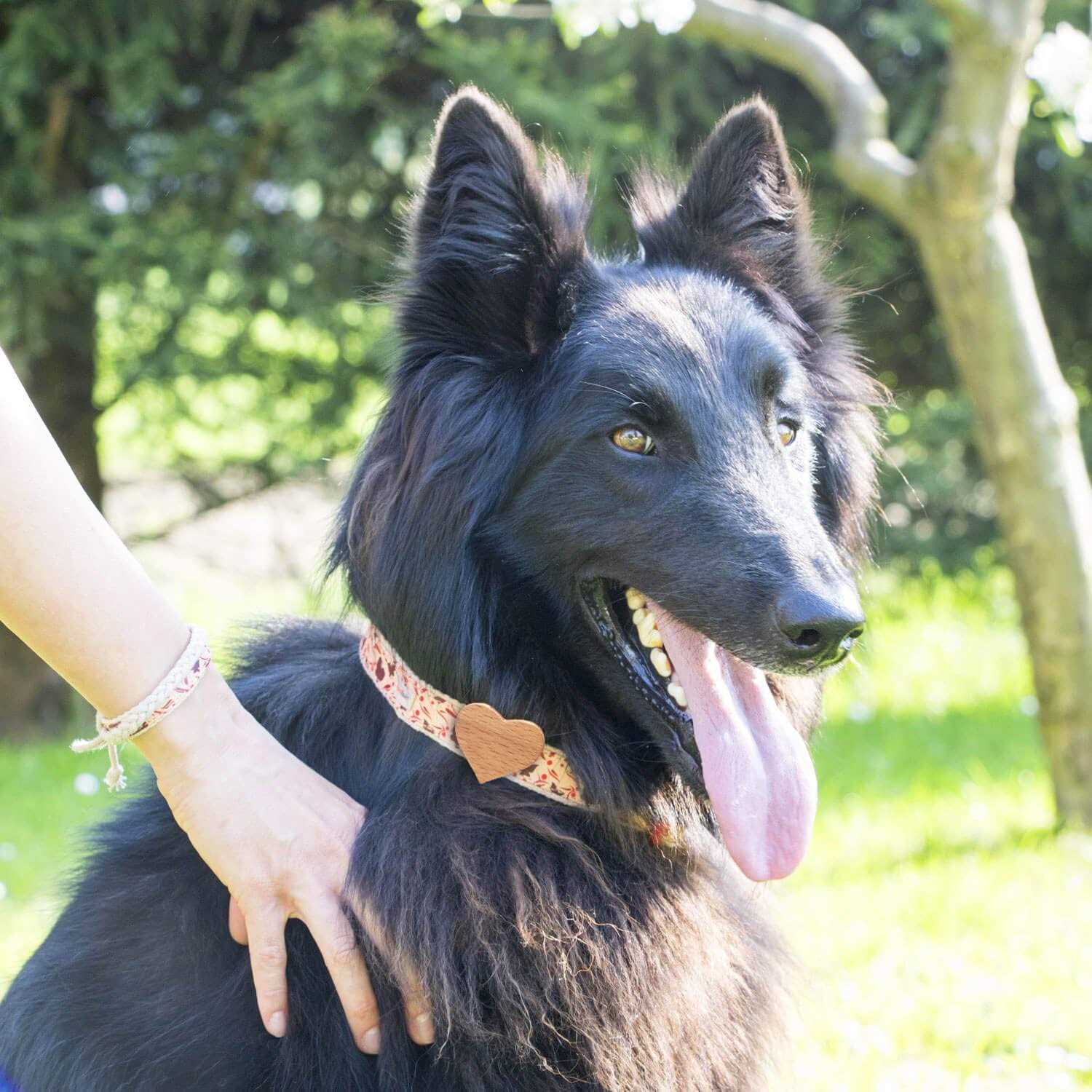 Alternative view of Pettsie Heart Dog Collar