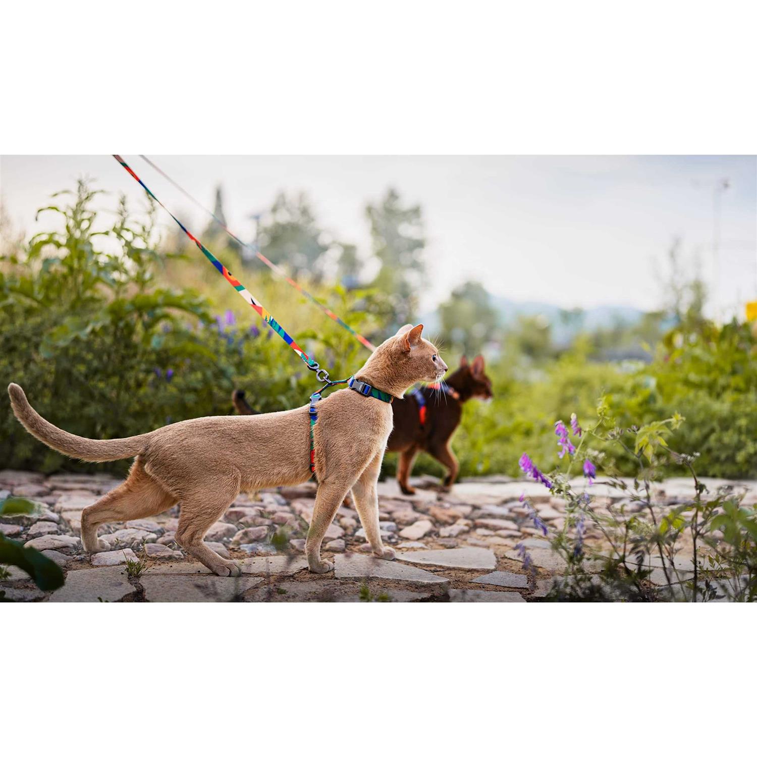 Alternative view of pidan Cat Harness and Leash Set Cats Escape Proof Adjustable Kitten Harness for Large Small Cats