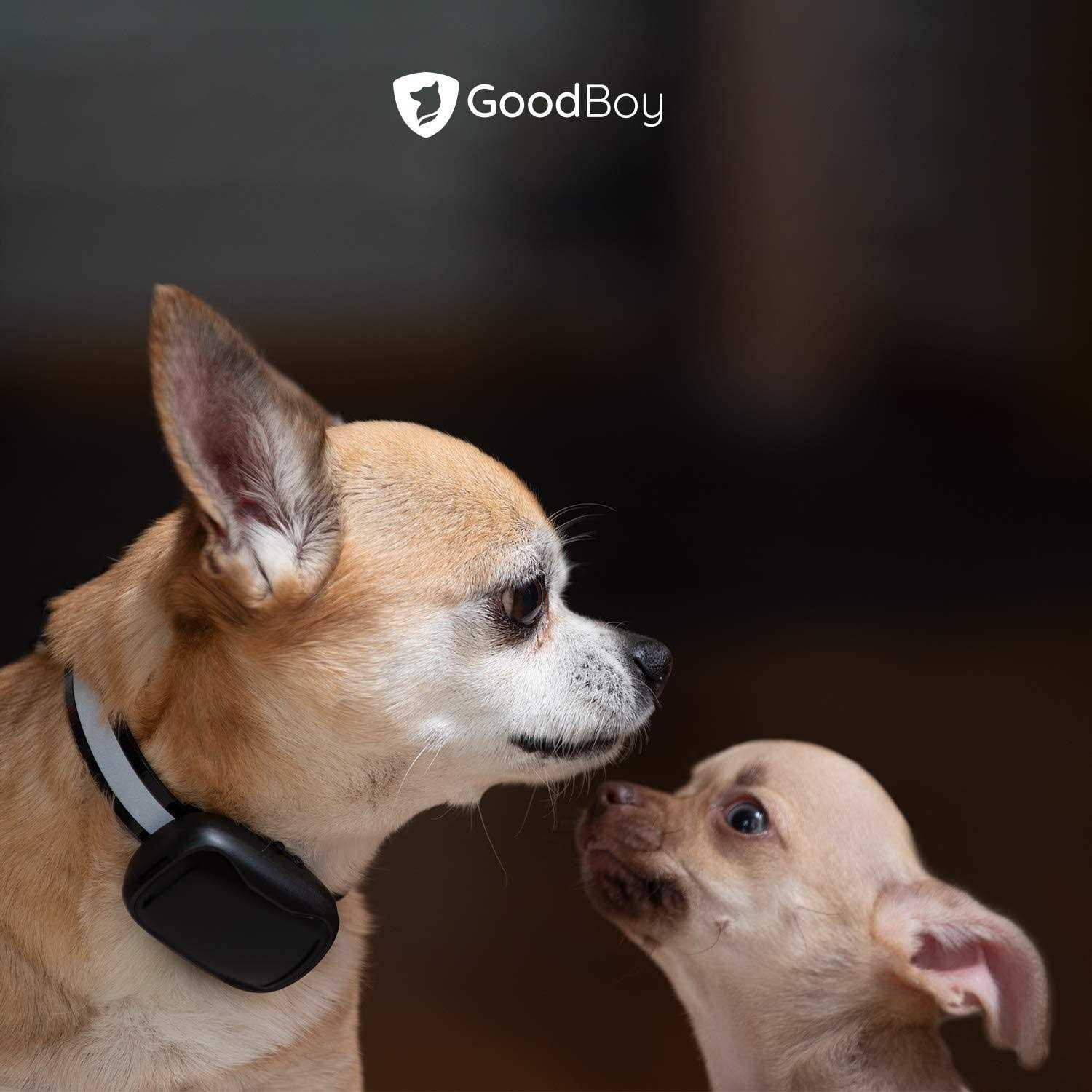 Alternative view of GoodBoy Mini No Shock Remote Collar for Dogs with Beep and Vibration Modes for Pet Behaviour Training