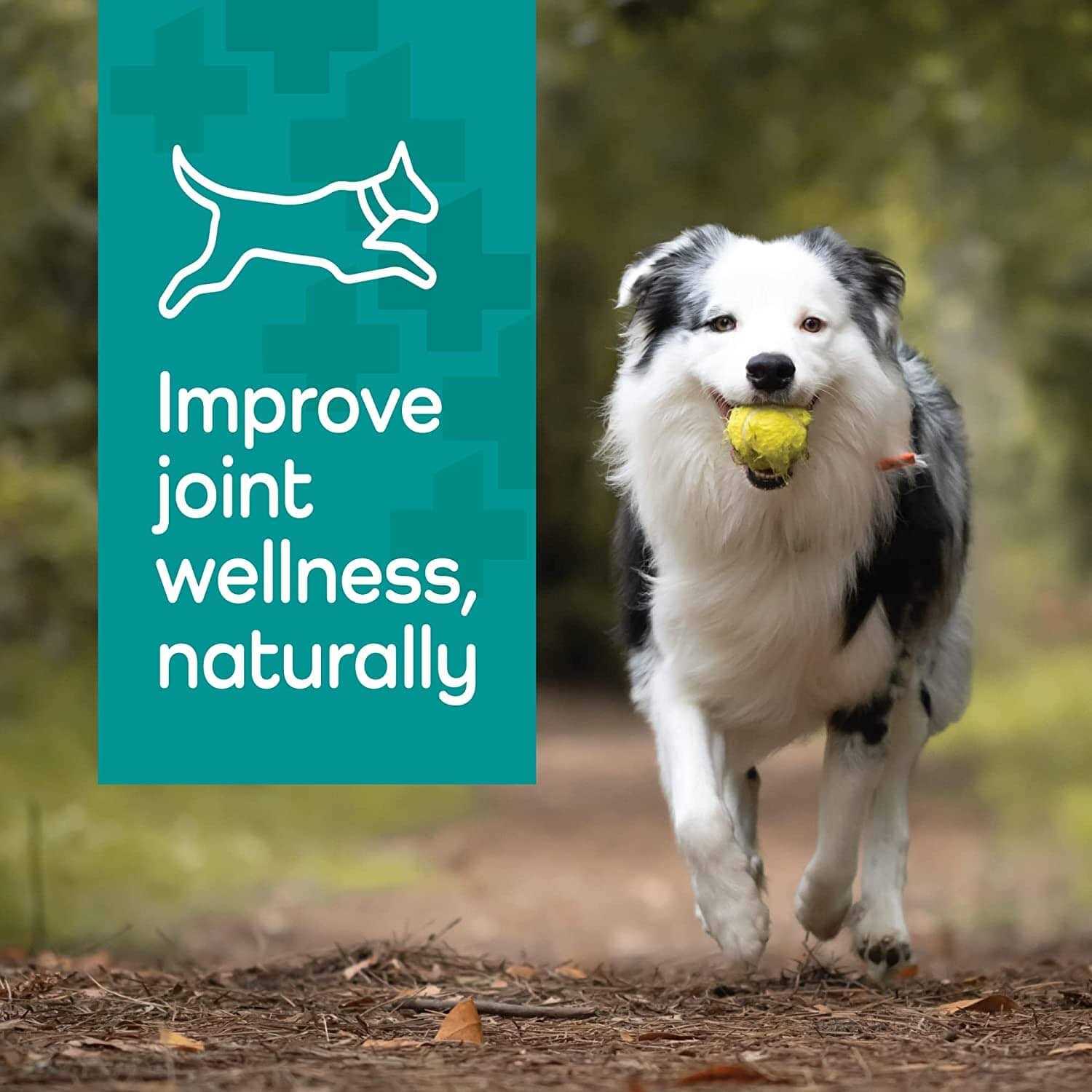 Alternative view of Vetality Hemp Helpers Collar for Dogs