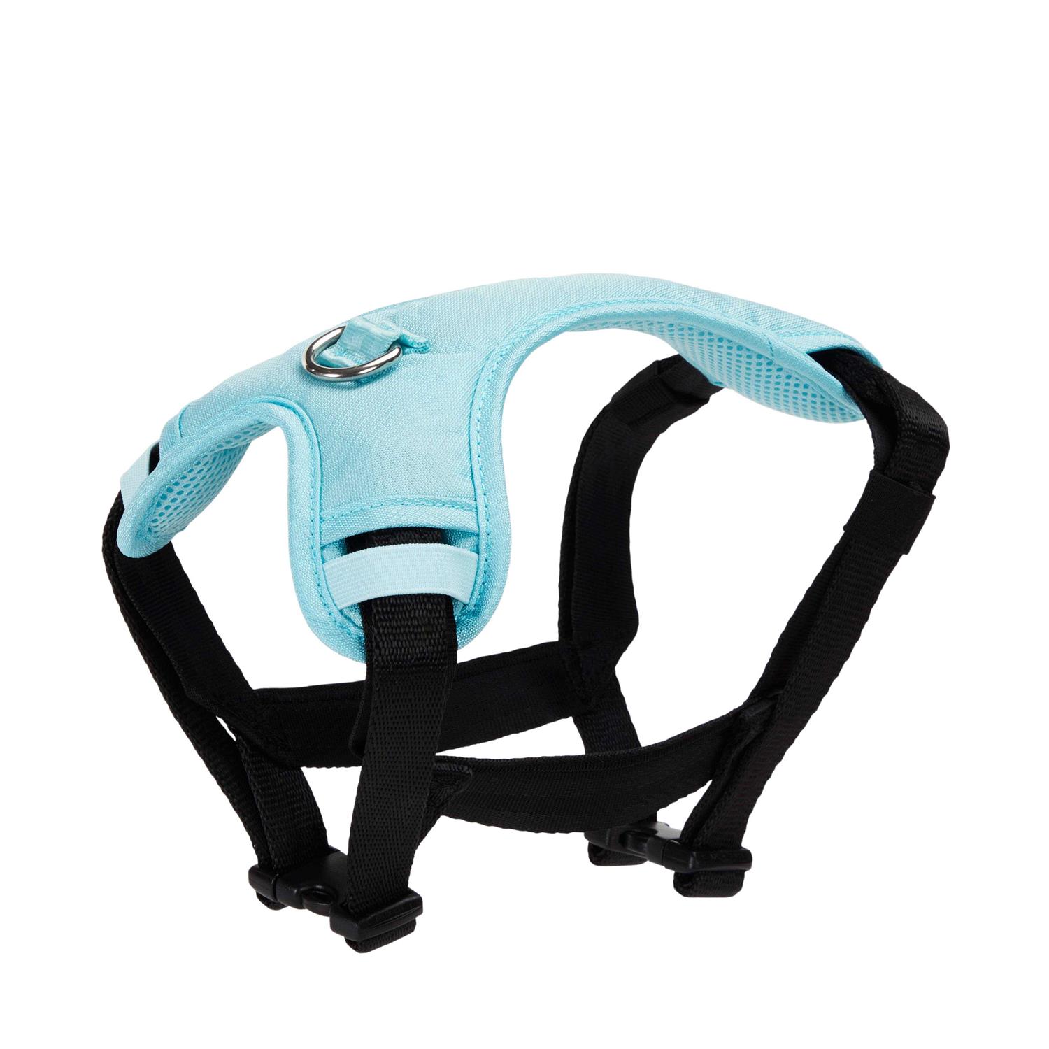 Alternative view of EveryYay Teal Crash Test Dog Harness