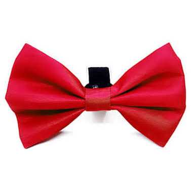 Joyride Harness Dog Collar + Removable Bow Tie
