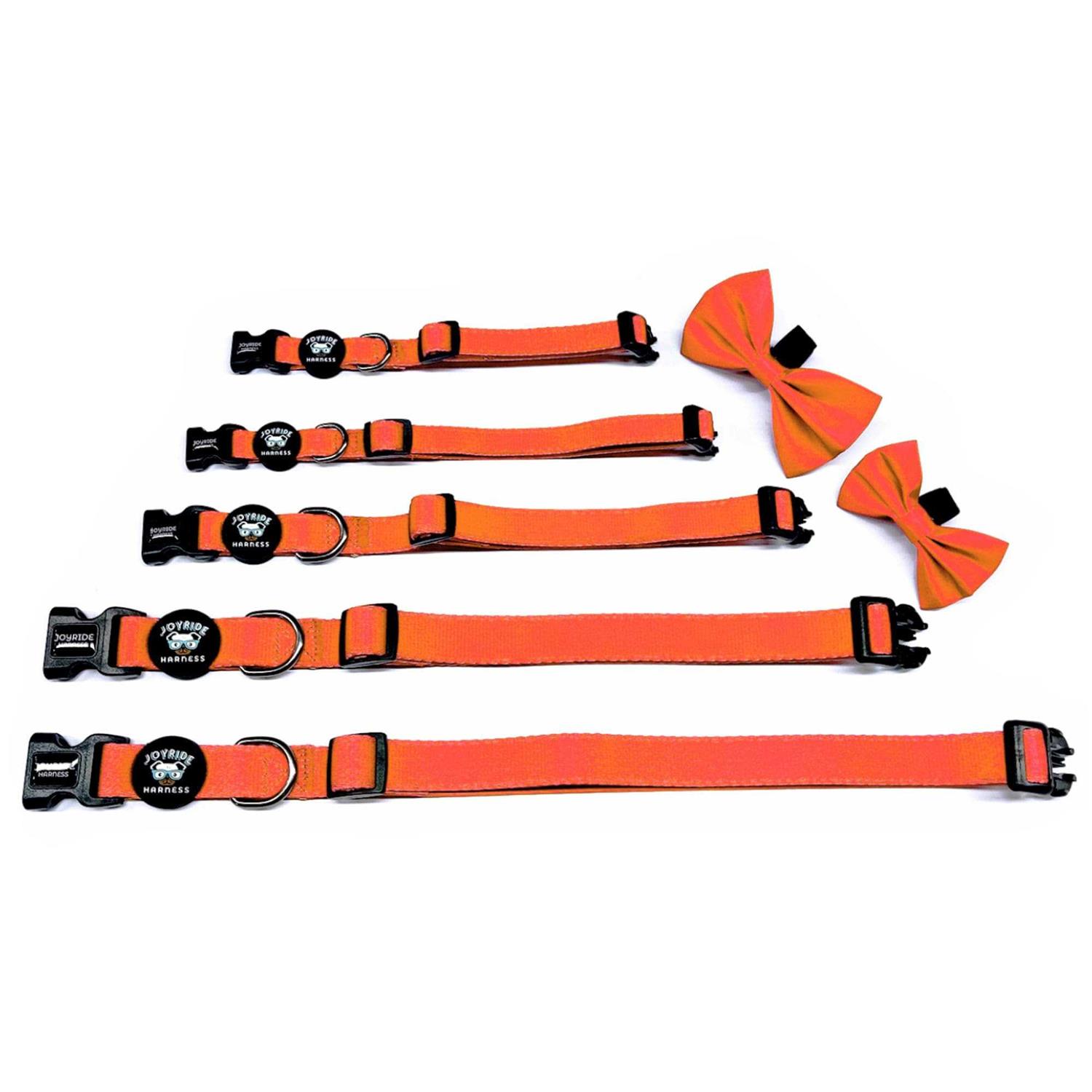 Alternative view of Joyride Harness Dog Collar + Removable Bow Tie