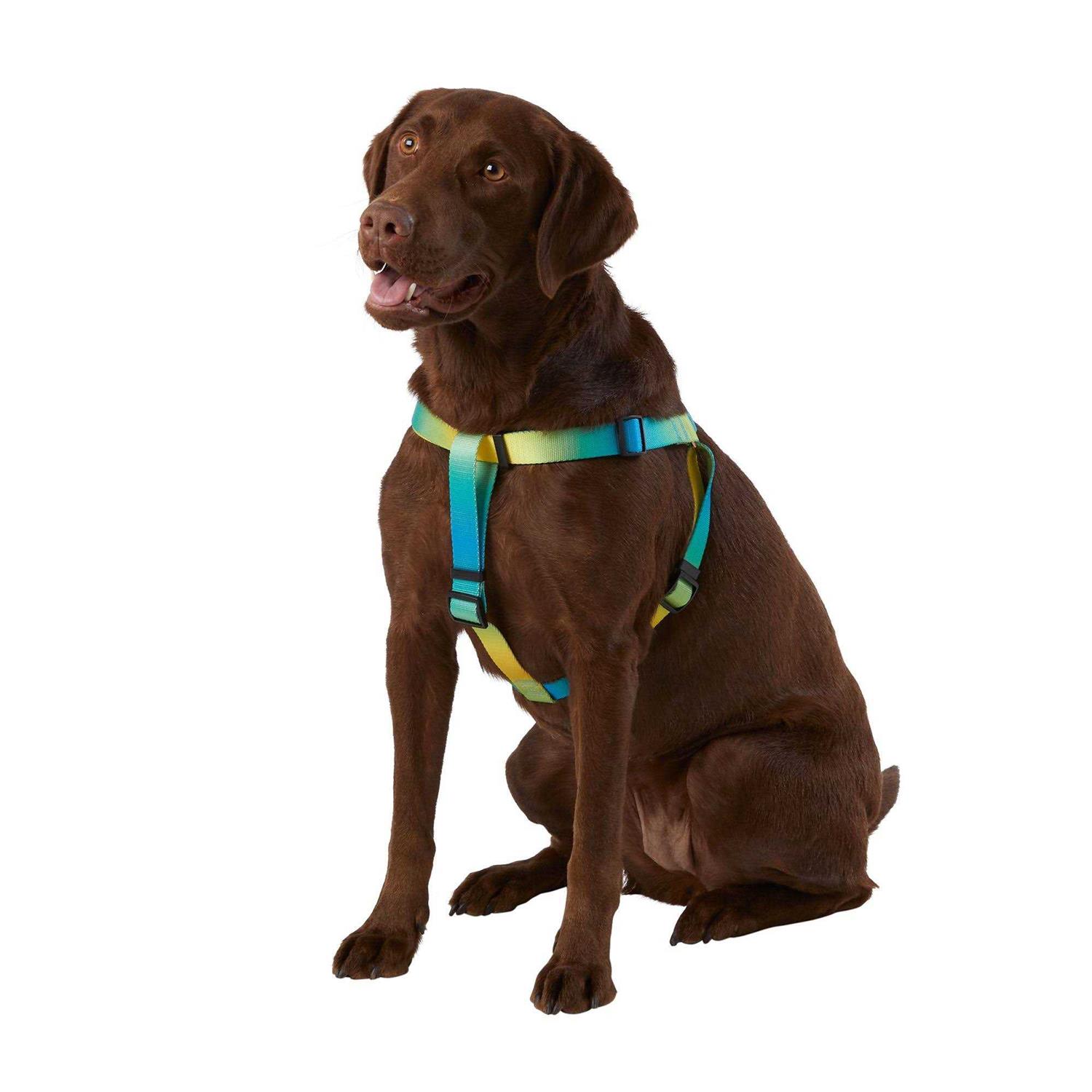 Top Paw Dog Top Pawyellow & Pink Ombre Dog Harness