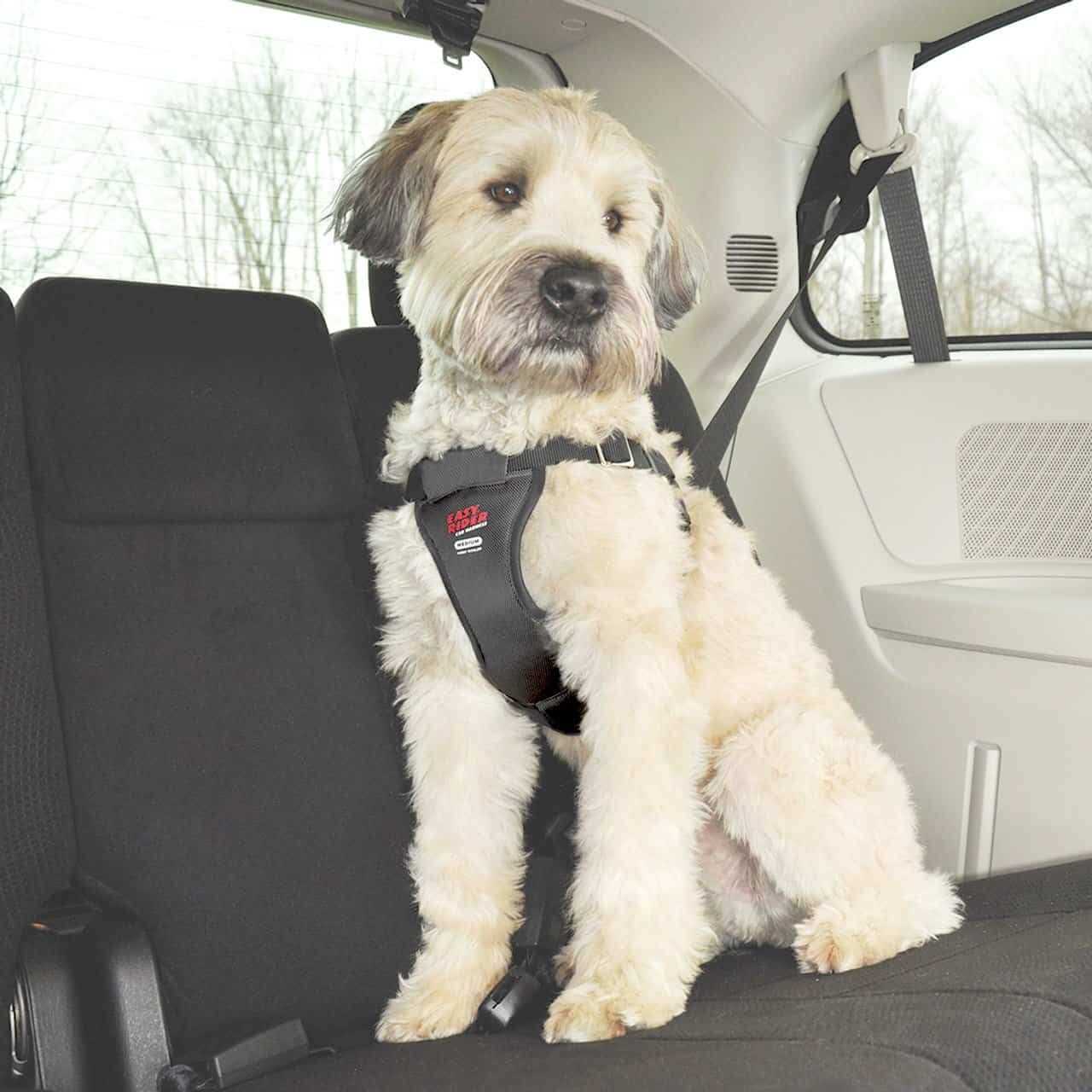 Alternative view of Coastal Pet Easy Rider Car Harness