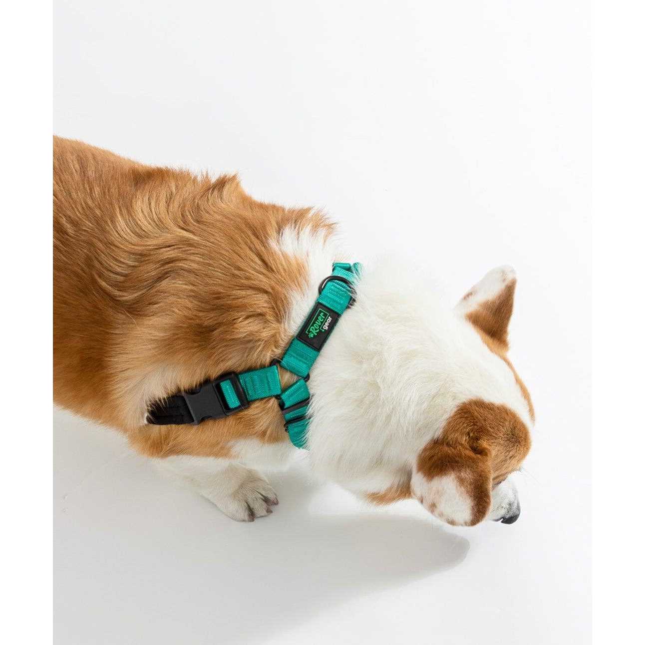 Alternative view of Rover Gear Better Walk No-Pull dog Harness
