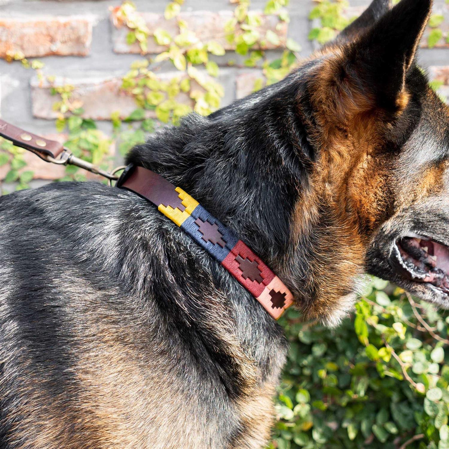 Alternative view of GauchoLife Polo Dog Collar Leather Hand-Stitched