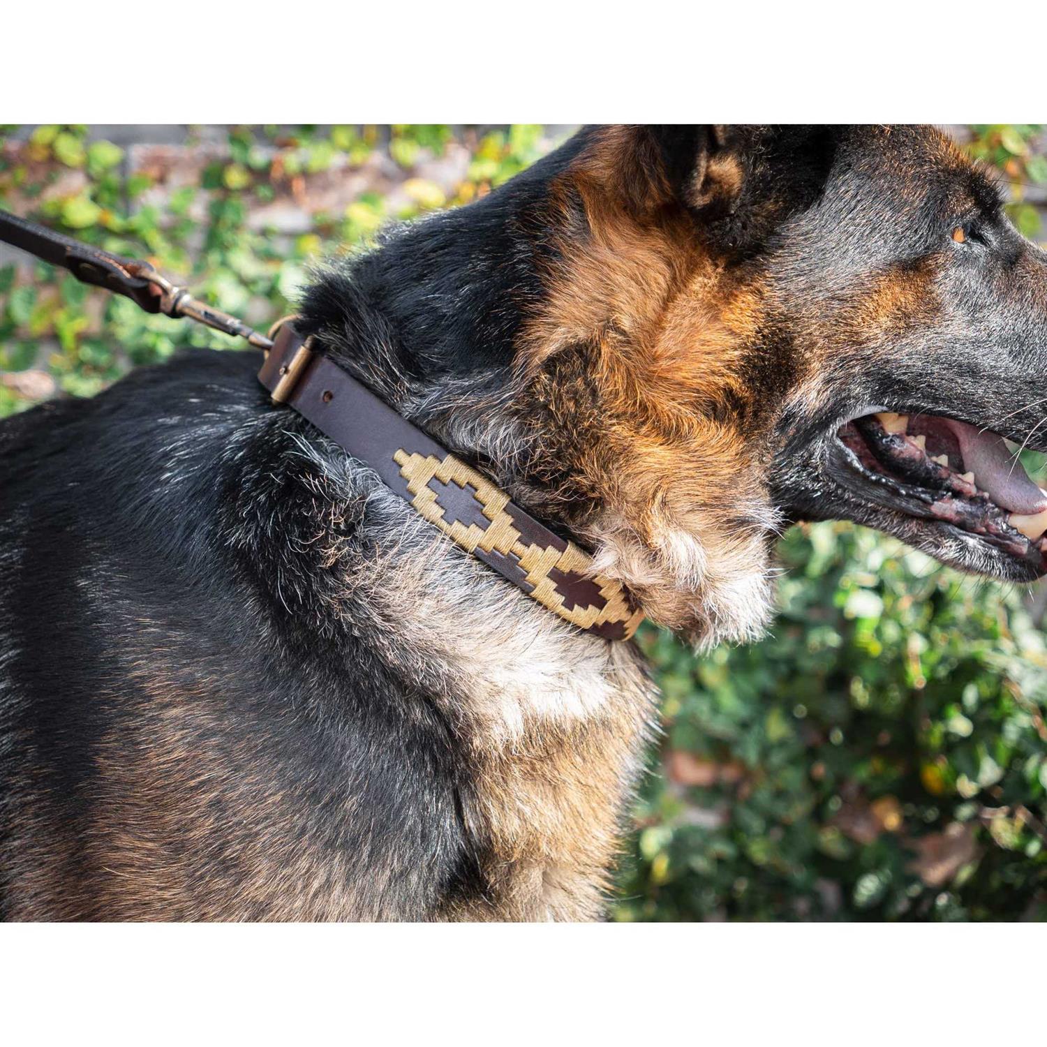 Alternative view of GauchoLife Polo Dog Collar Leather Hand-Stitched