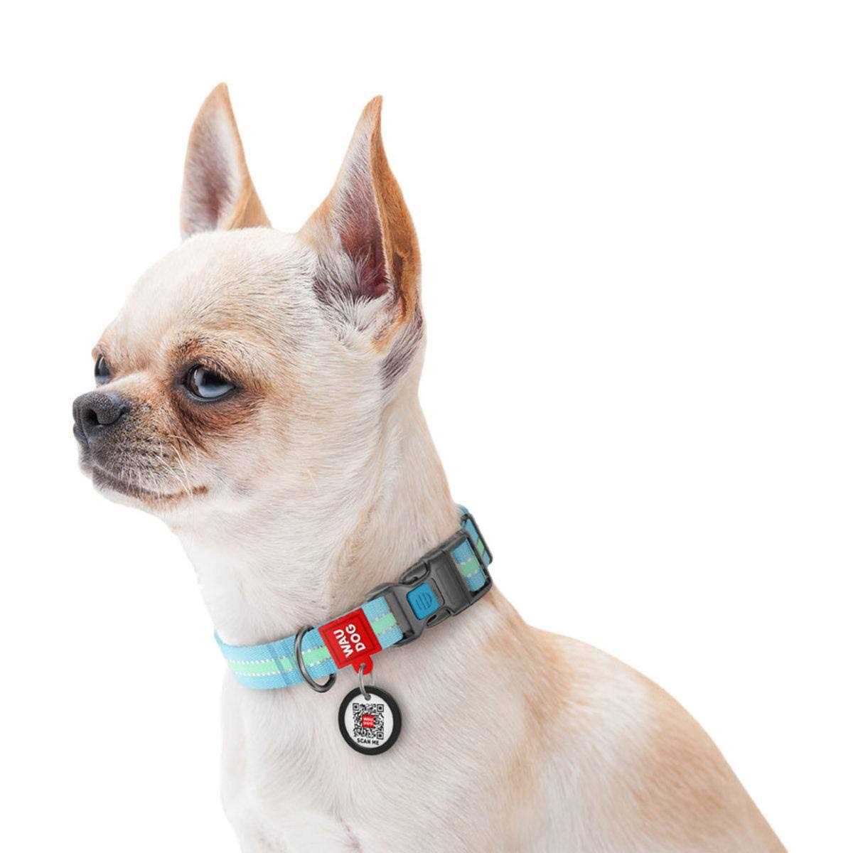 Alternative view of WAUDOG Glow in the Dark QR Passport Nylon Standard Dog Collar Blue