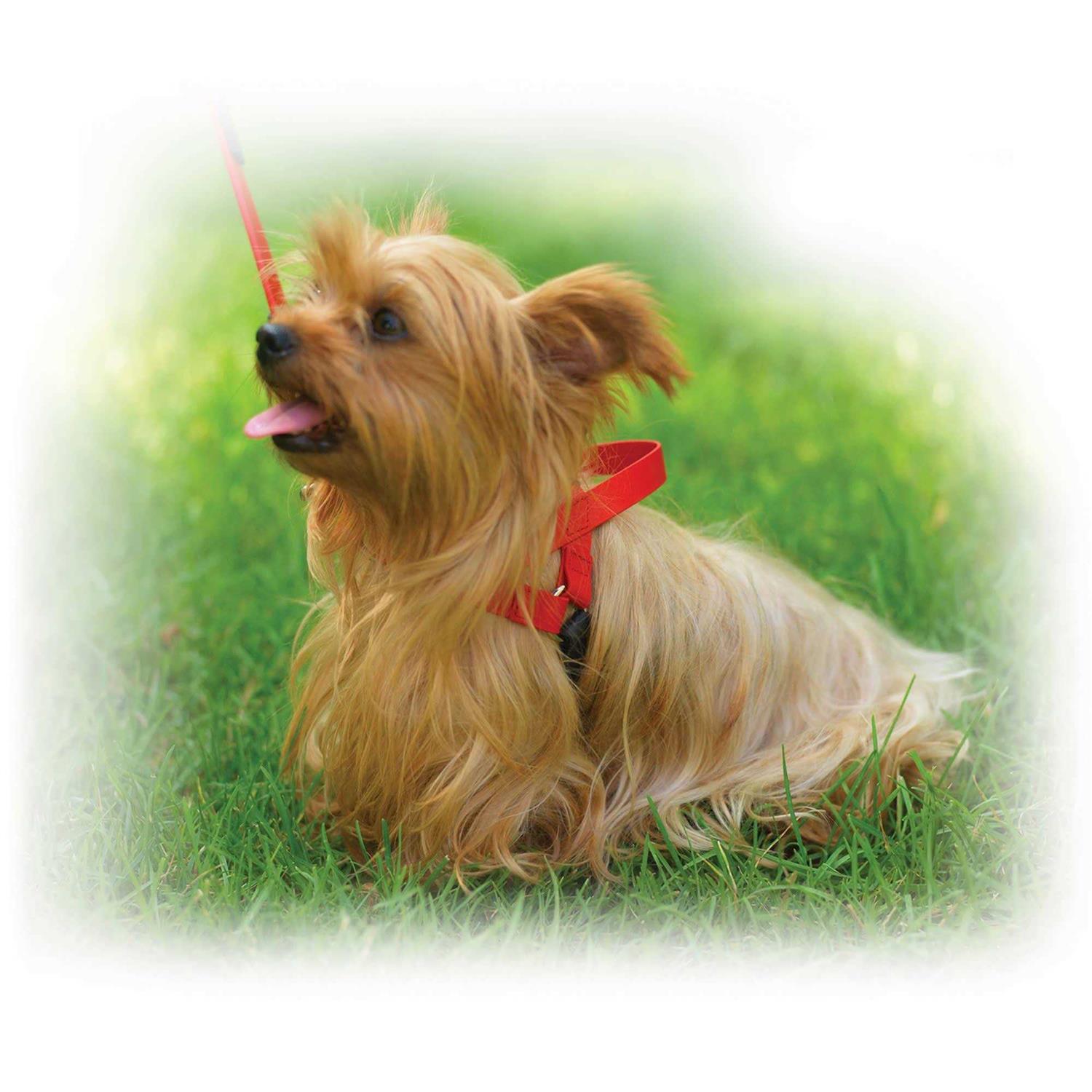 Alternative view of Ultrahund Freedom Harness