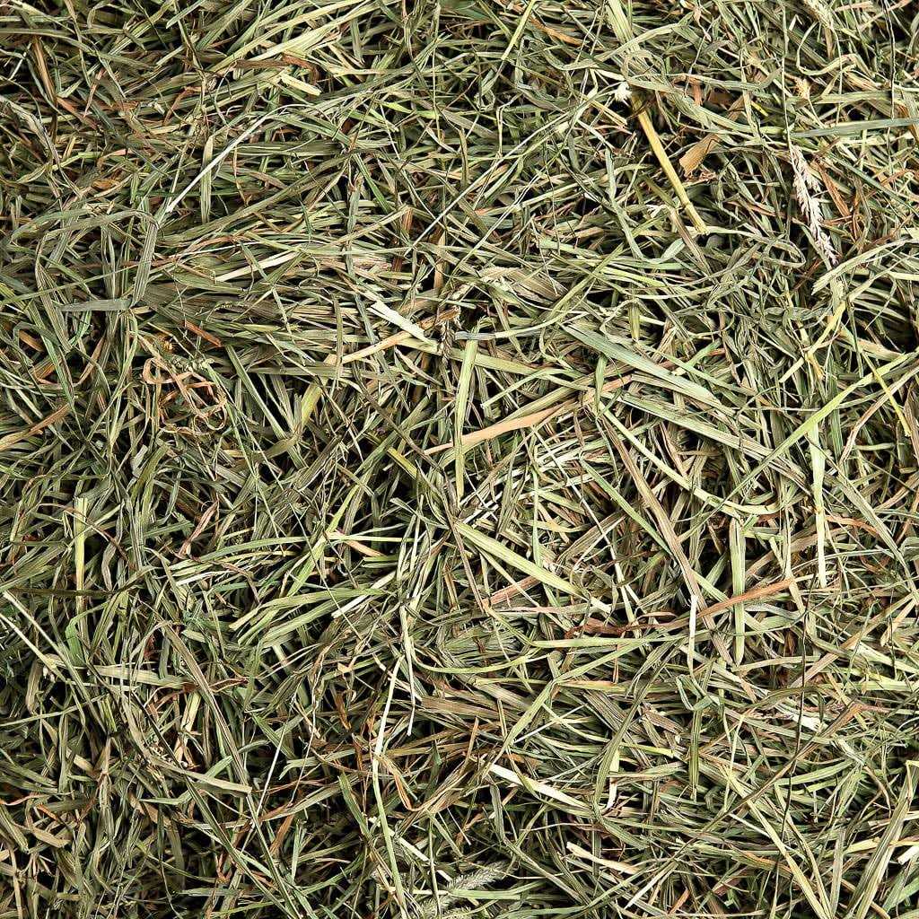 Alternative view of Small Pet Select Cutting Timothy Hay Pet Food