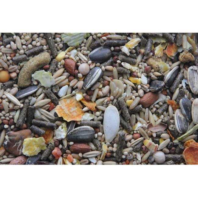 Alternative view of Higgins Sunburst Gourmet Blend Gerbil & Hamster Food