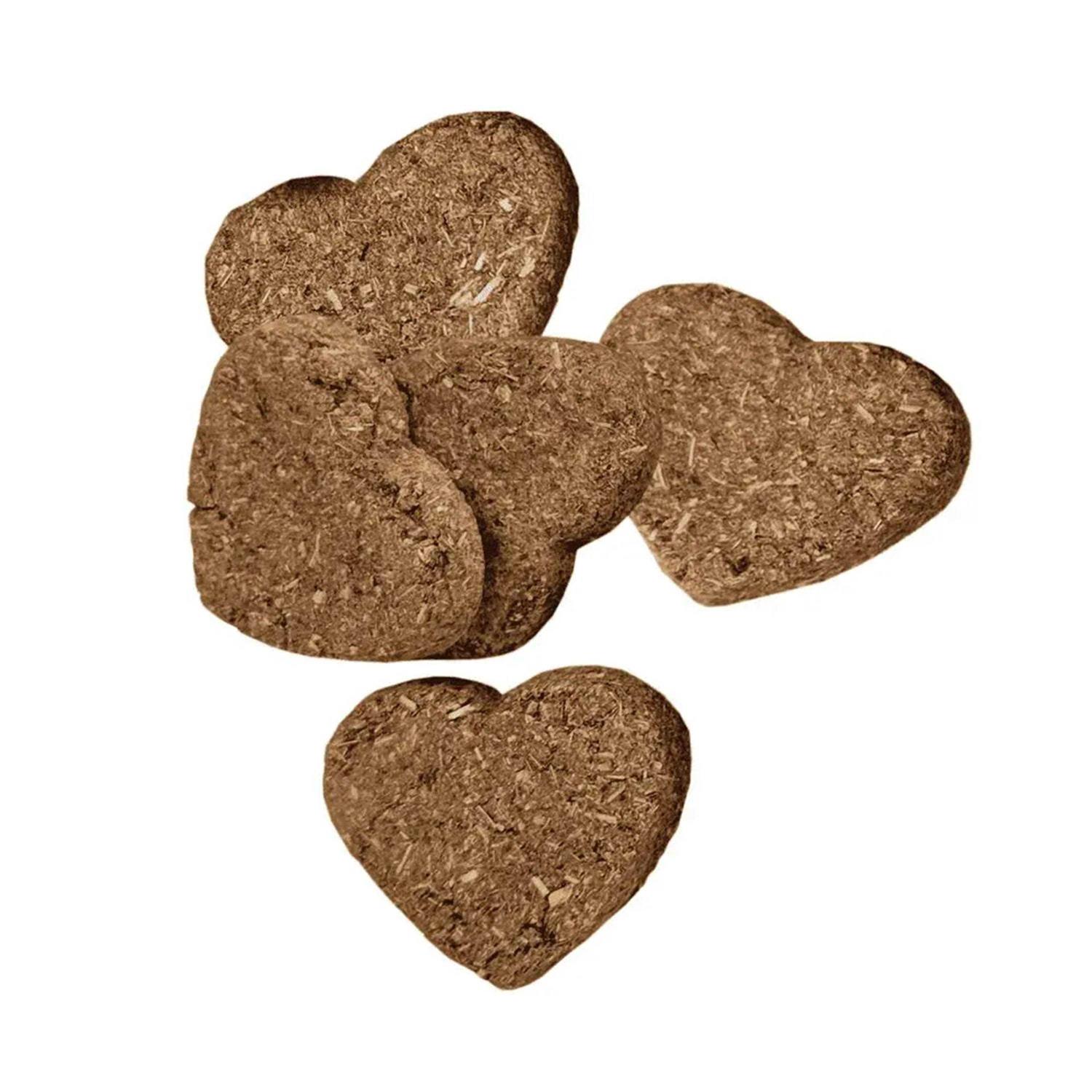 Alternative view of Oxbow Simple Rewards Baked Treats