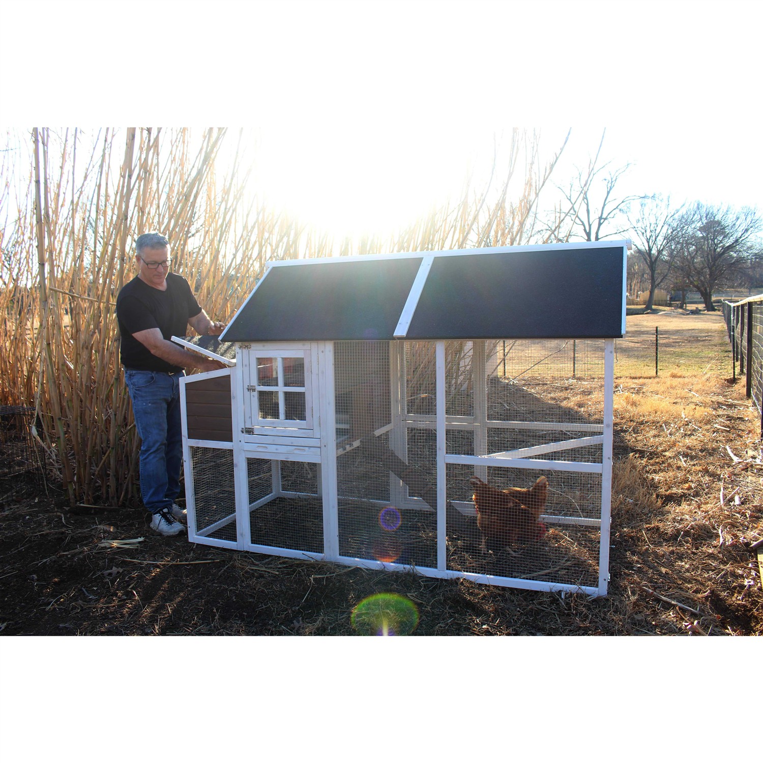 Alternative view of Zylina Superior Hen House