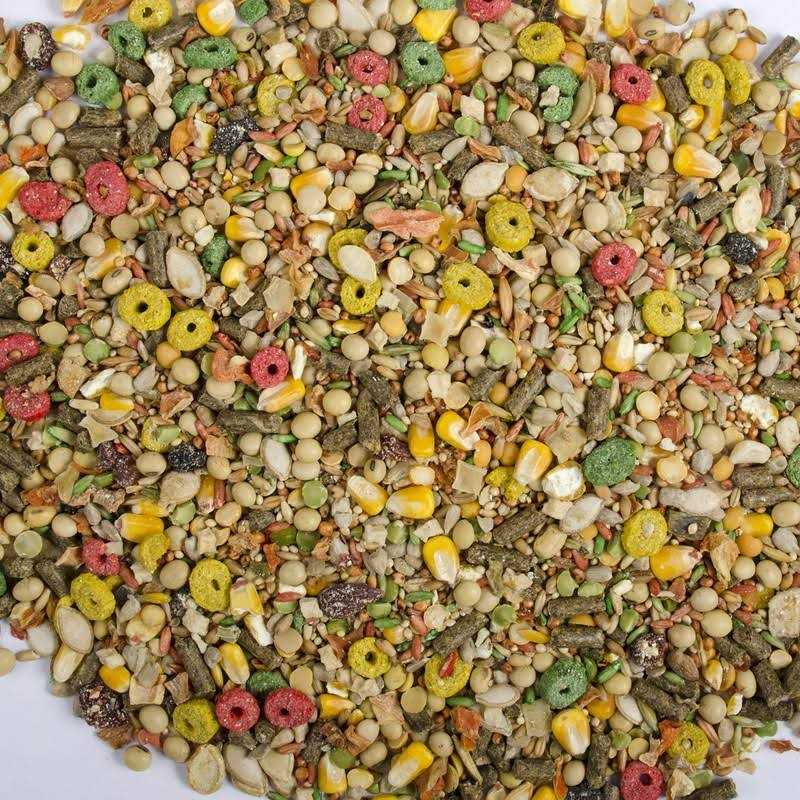 Alternative view of Wild Harvest Hamster and Gerbil Advanced Nutrition Diet