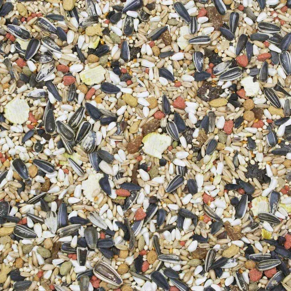 Alternative view of Higgins Sunburst Gourmet Guinea Pig Food