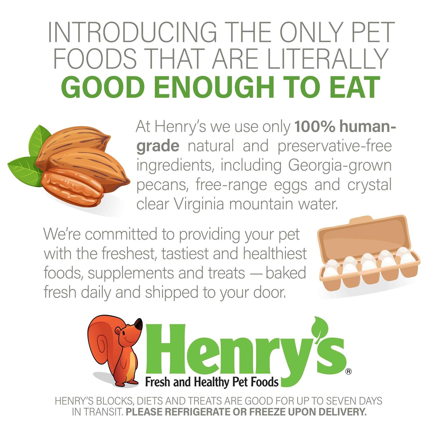 Alternative view of Henry's Healthy Blocks Nutritionally Complete Food for Squirrels, Flying Squirrels, and Chipmunks