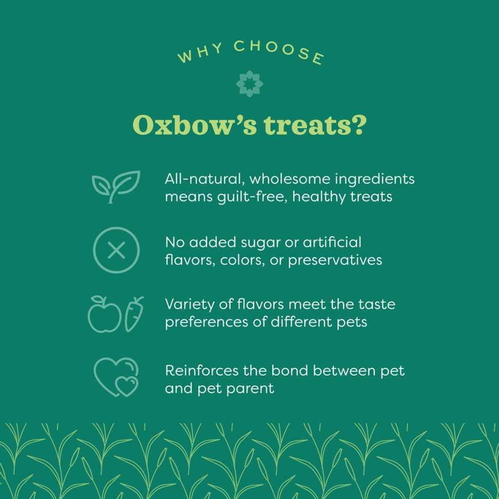 Alternative view of Oxbow Simple Rewards Strawberry Treats