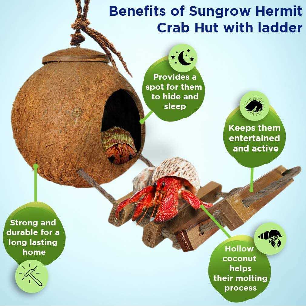 Alternative view of SunGrow Hermit Crab Coco Hut with Ladder