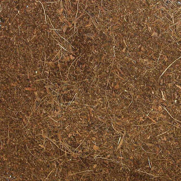 Alternative view of Zoo Med Eco Earth Loose Coconut Fiber Substrate