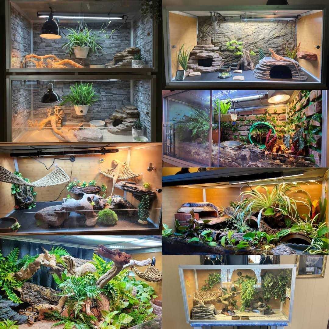 Alternative view of Zen Habitats 4'x2'x2' Original PVC Reptile Enclosure