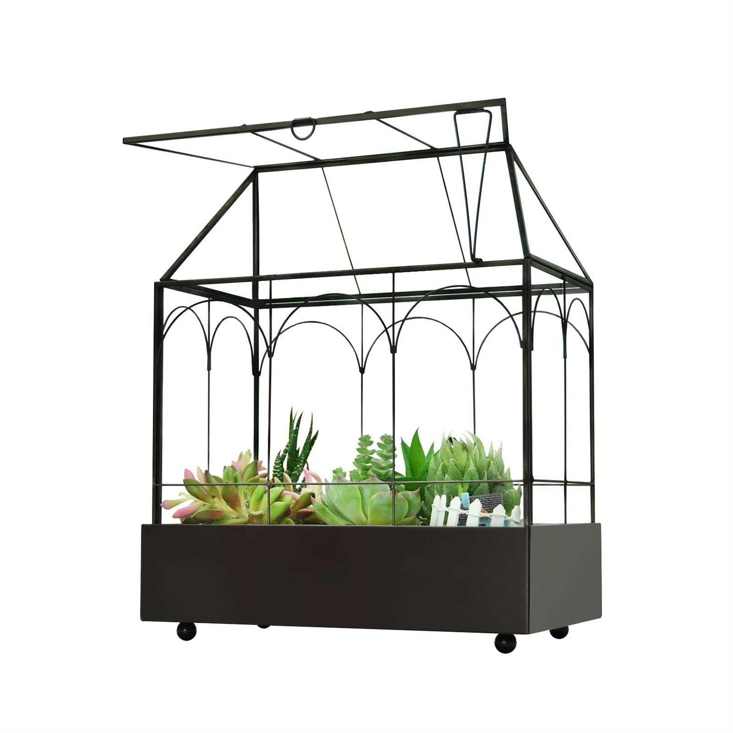 YIMORENcE V Large Tall glass Plant Terrarium – House Succulent Terrarium Kit with Lip and Tray