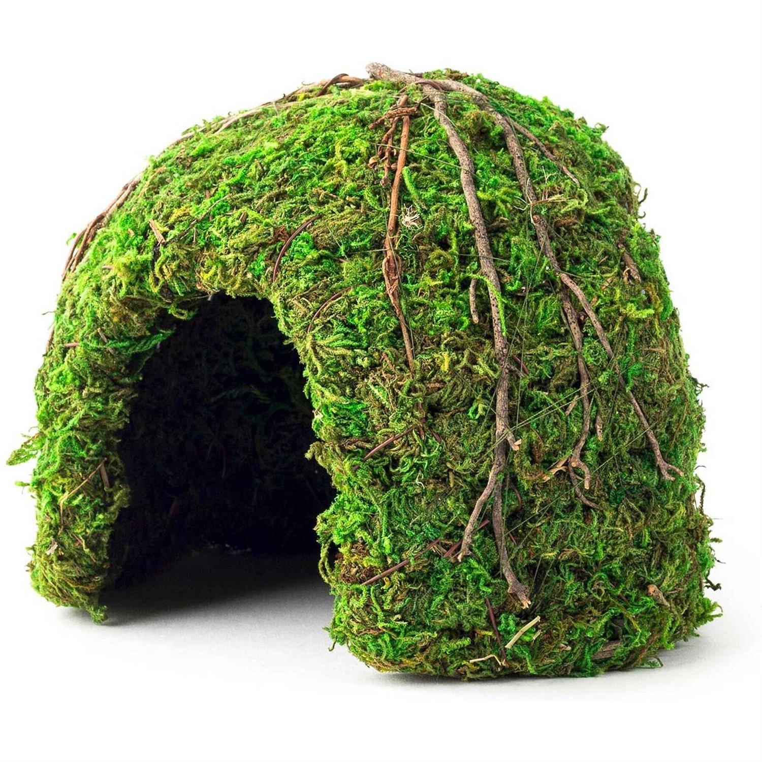Galapagos Green Mossy Dome