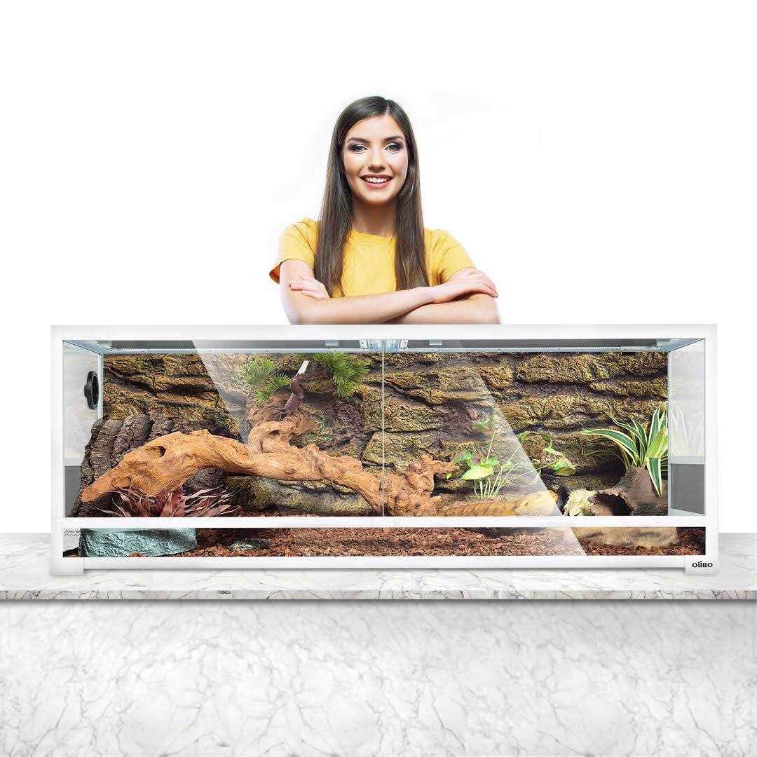 64 Gallon Terrarium OiiBO