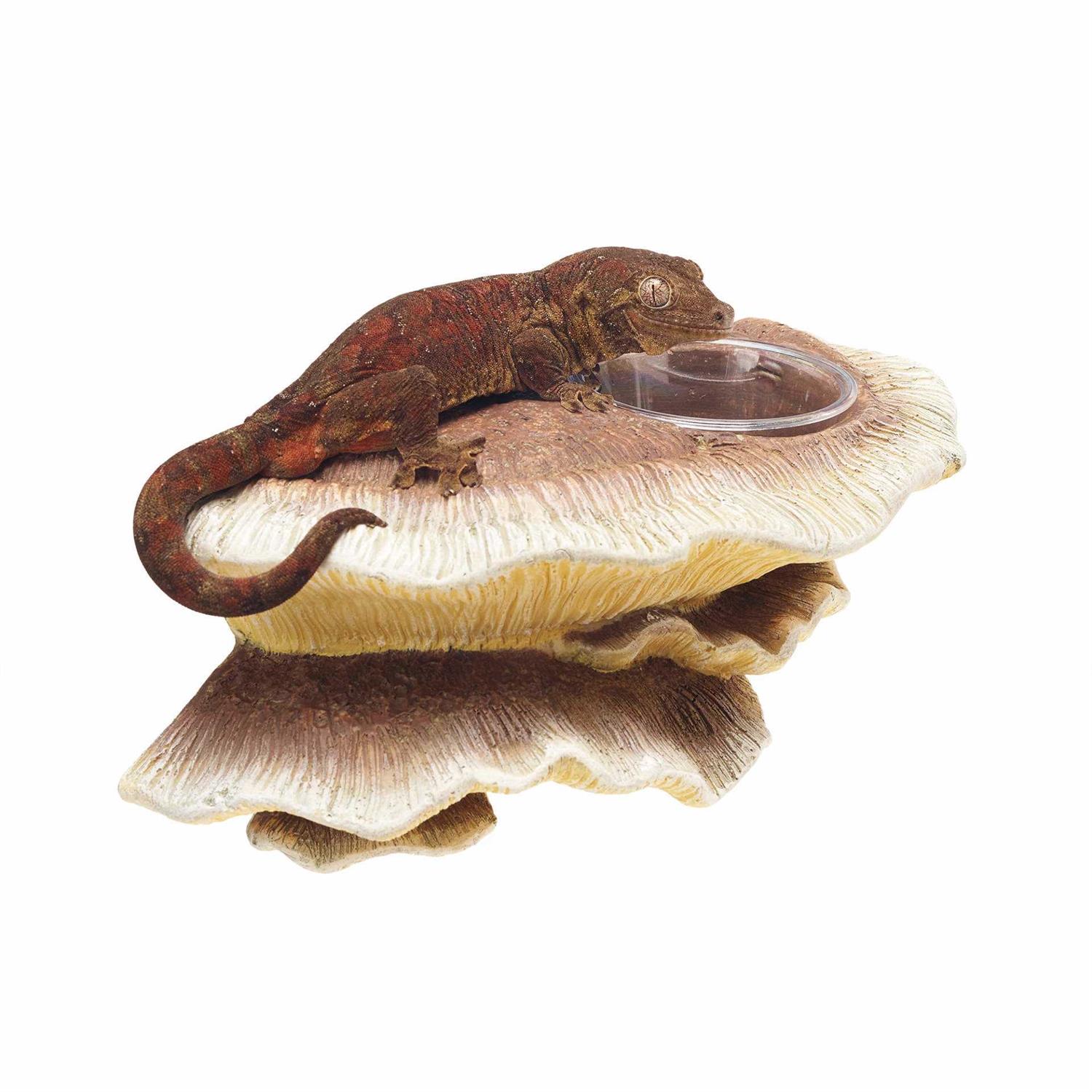 Zilla Vertical Mushroom Feeding Ledge