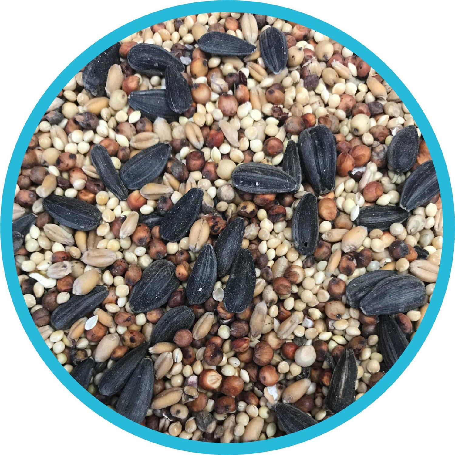 Alternative view of Pennington Classic Wild Bird Feed and Seed