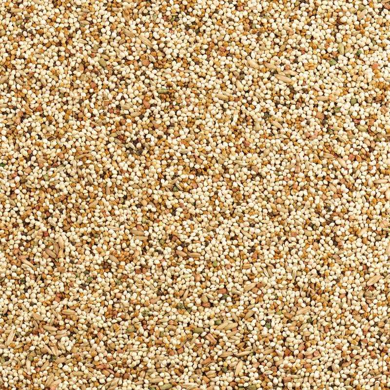 Alternative view of Wild Harvest Daily Blend Nutrition Diet for Parakeet, Canary and Finch 10 Pounds