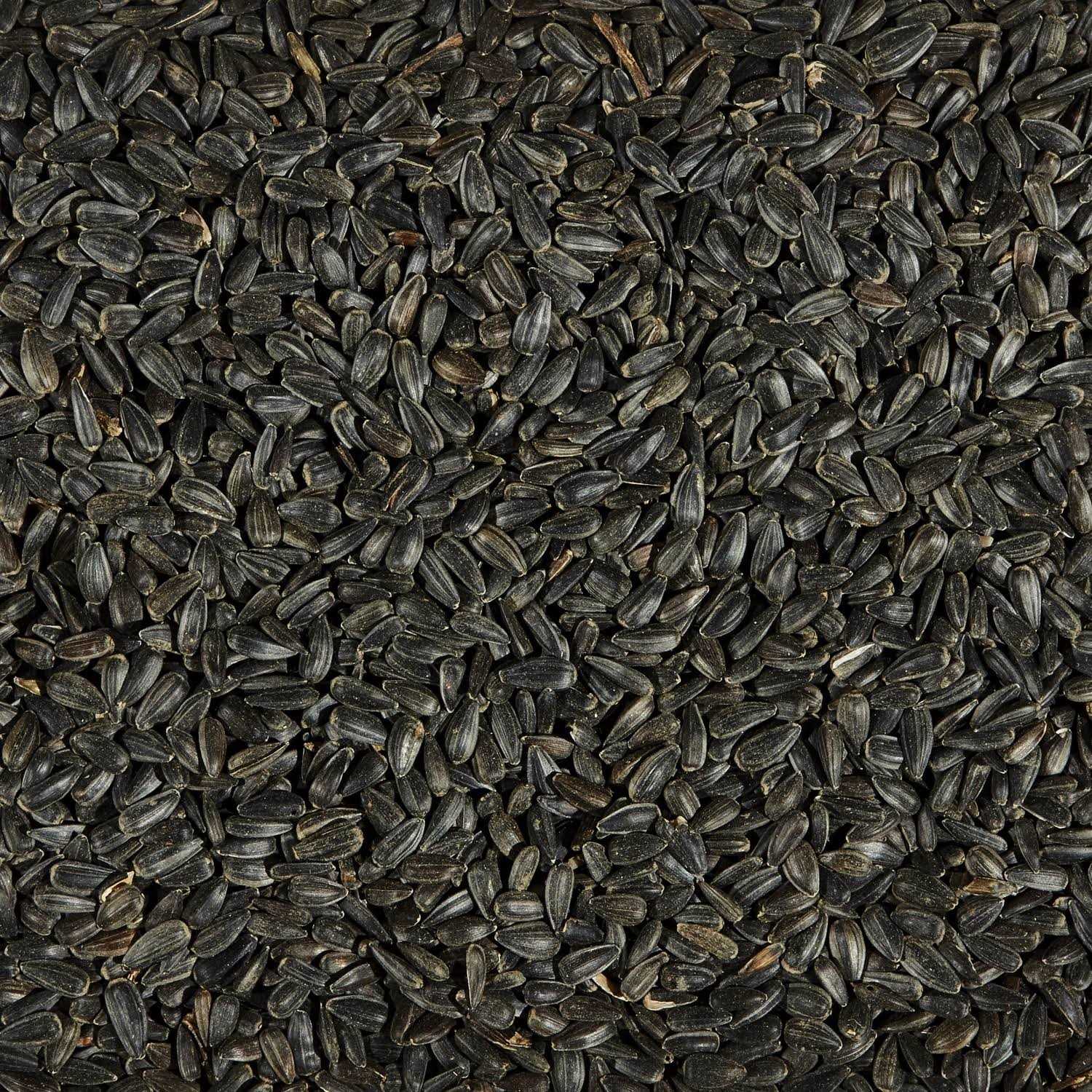 Alternative view of Ace Songbird Black Oil Sunflower Seed Wild Bird Food