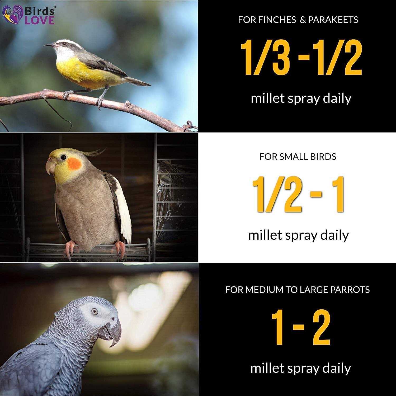 Alternative view of Birds LOVE Wholesome & Lovely Spray Millet GMO Free No Pesticide for Parrots Cockatiel Lovebird Parakeet Finch Canary