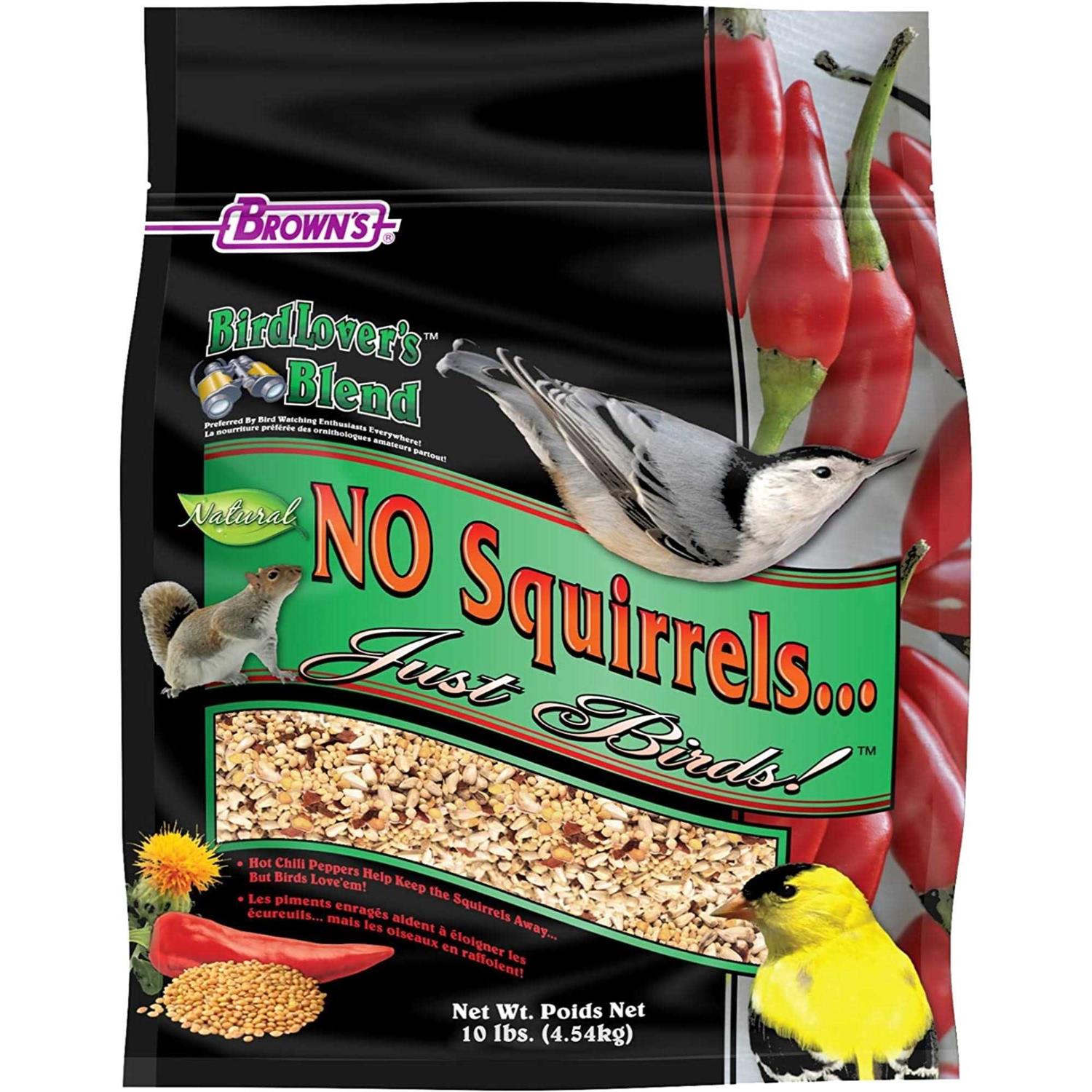 Bird Lover's Blend No Squirrels... Just Birds