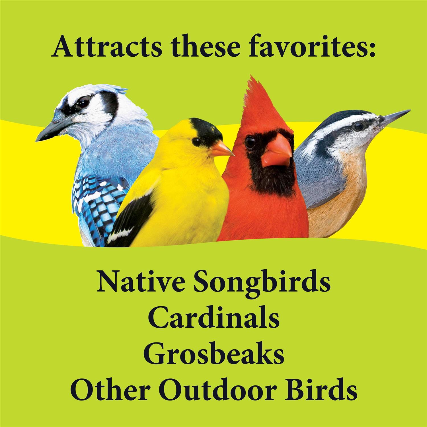 Alternative view of 3-d Pet Products Deck Porch Patio Blend Wild Bird Food