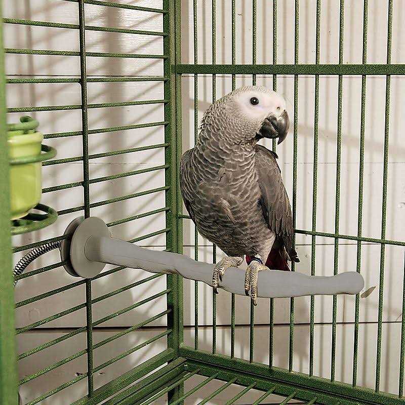K&H Pet Products Bird Thermo-Perch