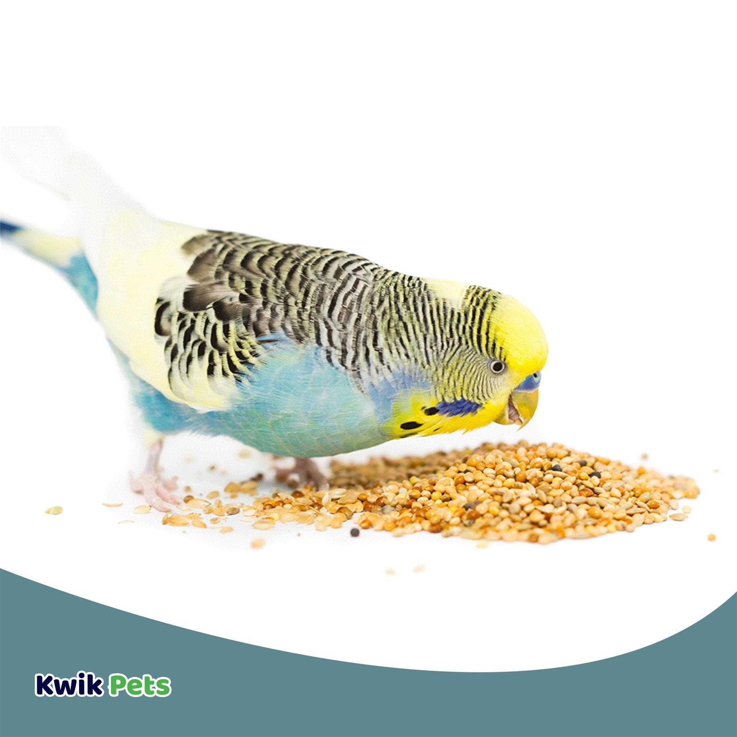 Alternative view of Volkman Avian Science Super Parakeet