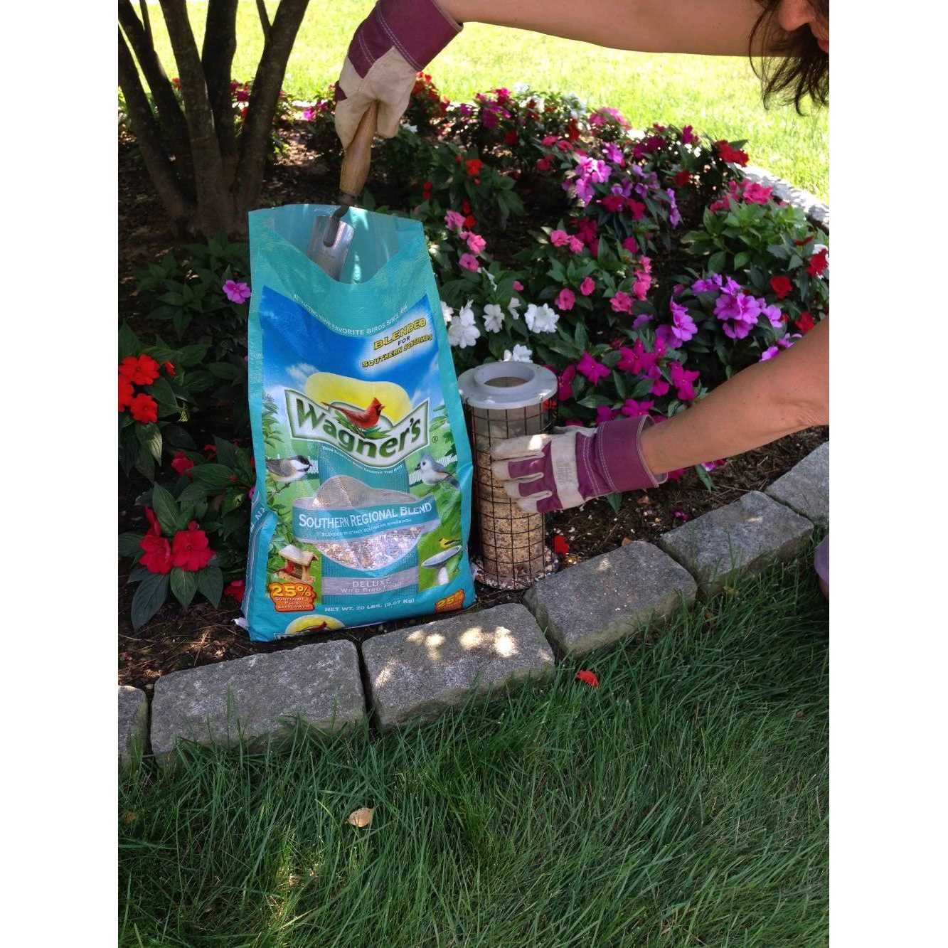 Alternative view of Wagner's 62012 Southern Regional Blend Wild Bird Food