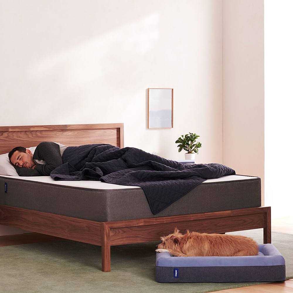 Alternative view of Casper Dog Bed