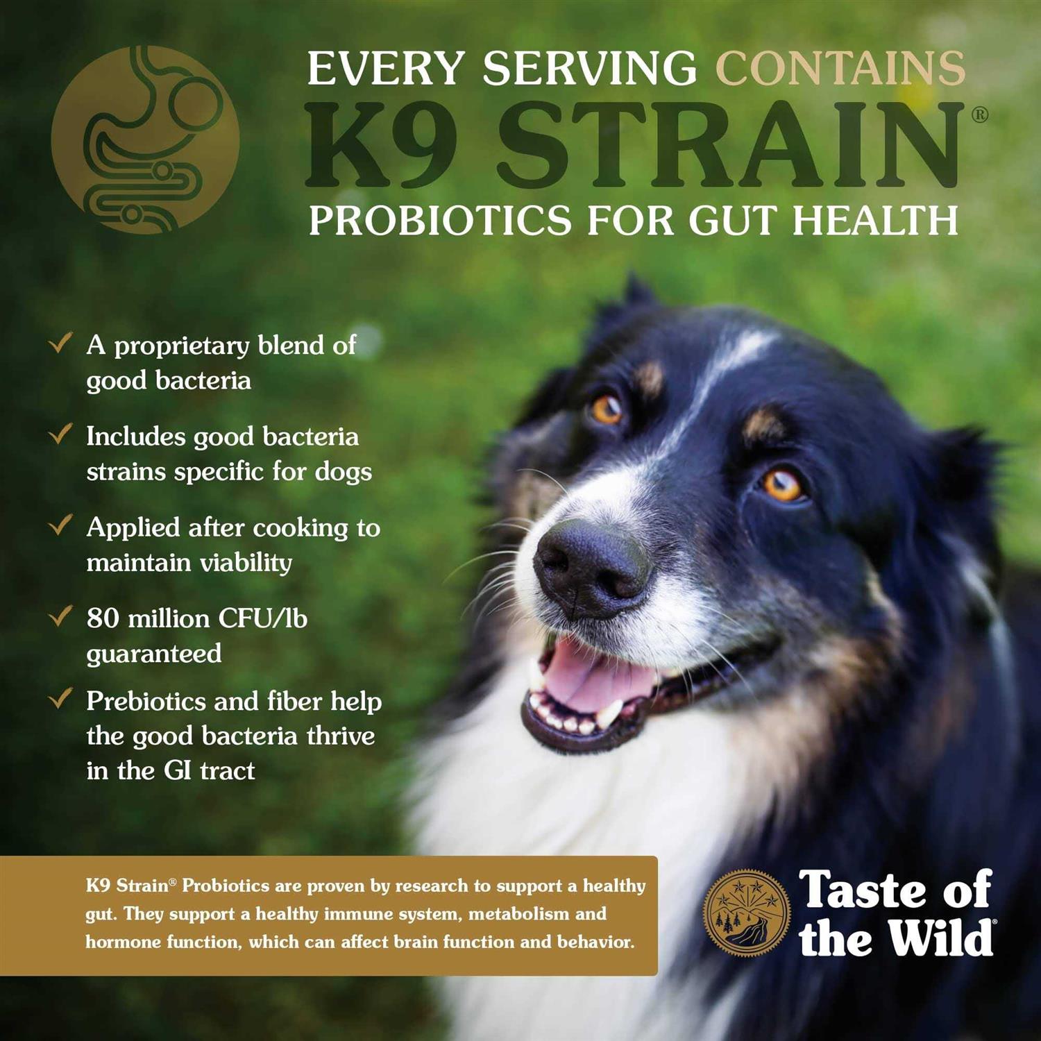 Alternative view of Taste of the Wild Sierra Mountain Dog Food