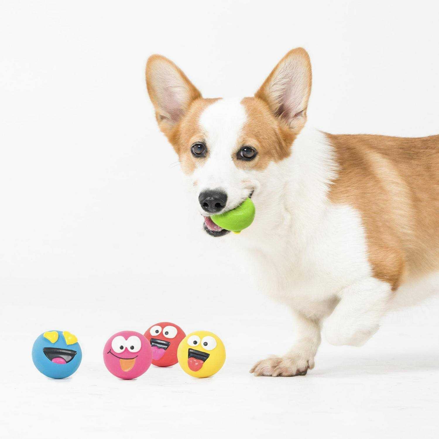 Alternative view of Vibrant Life Playful Buddy Dog Toys