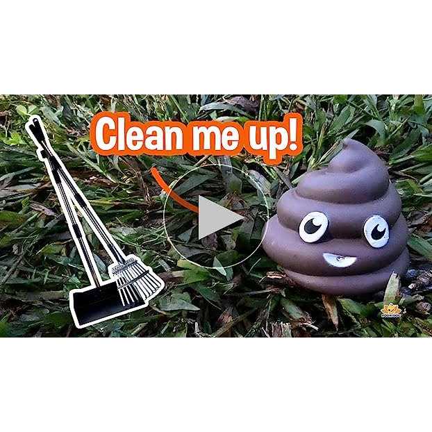 Alternative view of Bodhi Dog Metal Long Handle Tray and Rake Pooper Scooper Small, Medium, Large, XL Pets