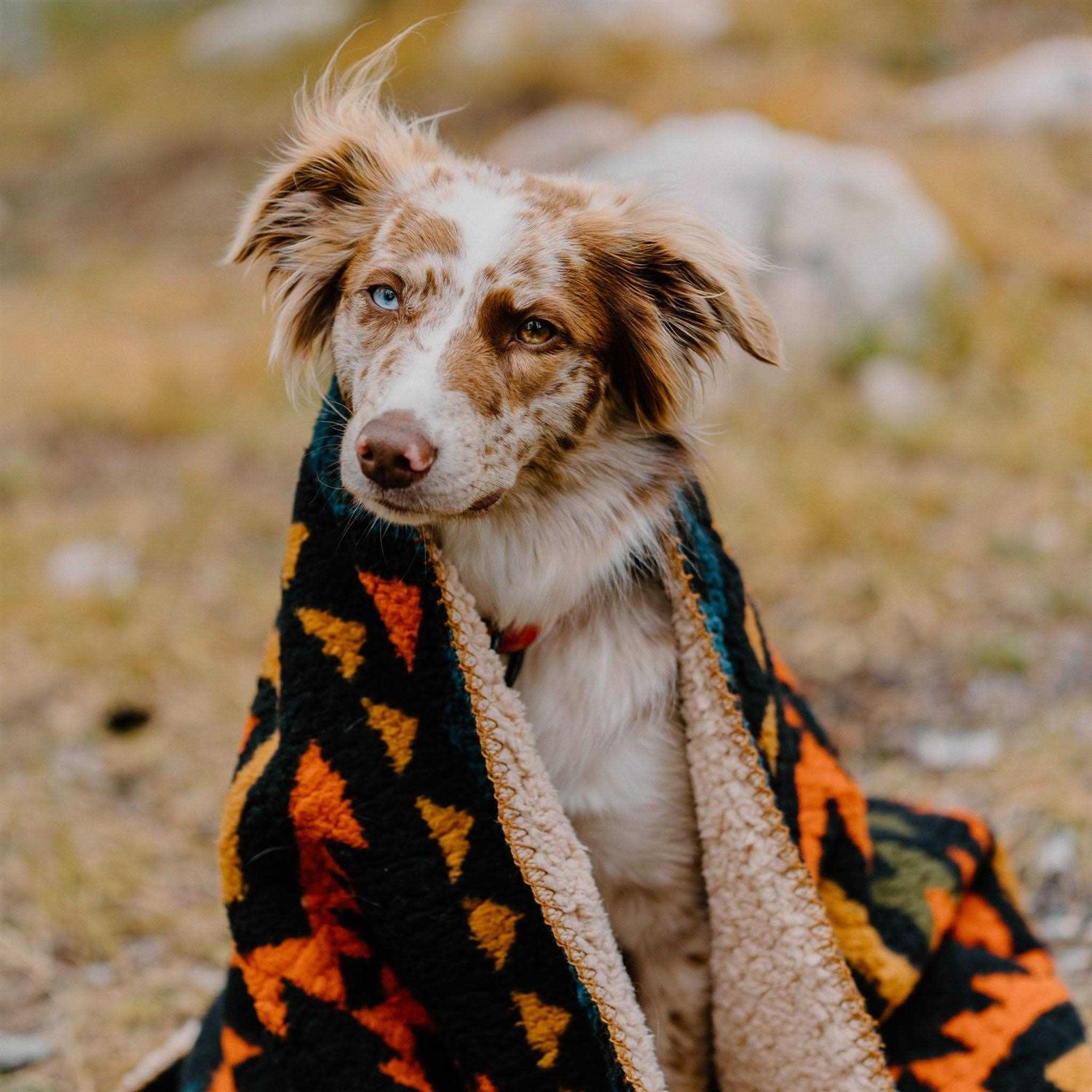 Alternative view of Wilderdog Sherpa Fleece Waterproof Blanket