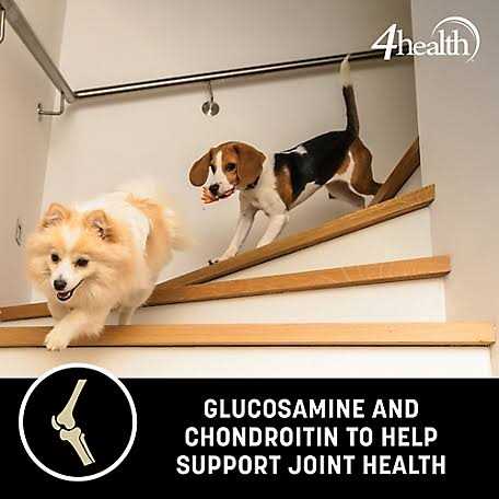 Alternative view of 4health with Wholesome Grains 4health Wholesome Grains Adult Dry Dog Food Large Breed SKU 1433611
