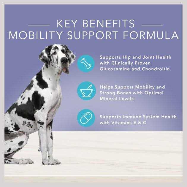 Alternative view of Blue Buffalo True Solutions Jolly Joints Mobility Support Dog Food